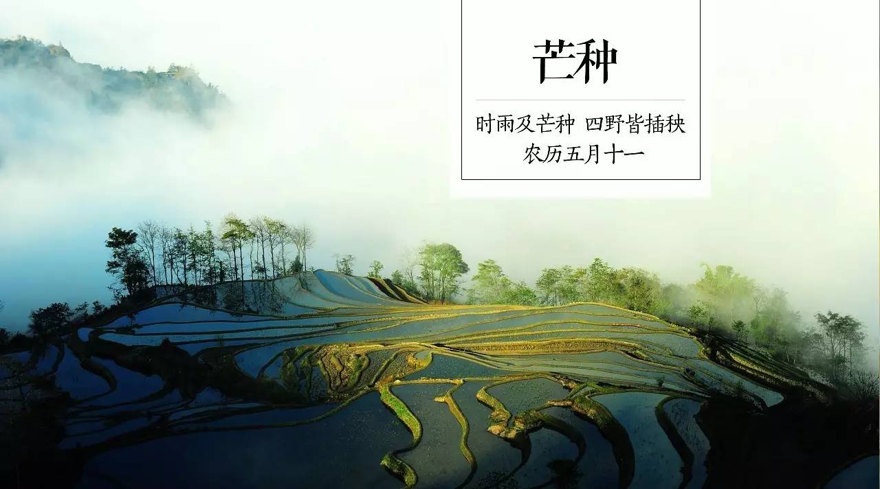 听自然·芒种 | 让孩子听野玩君说螳螂故事 文化